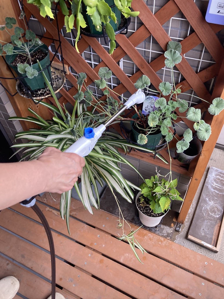 散水ノズルで水やり